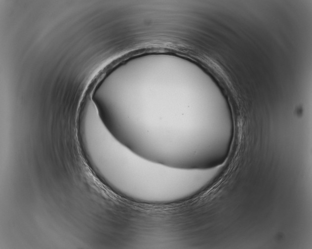 X0000116161020200912141216