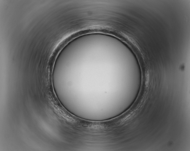 X0000116161021200912141216