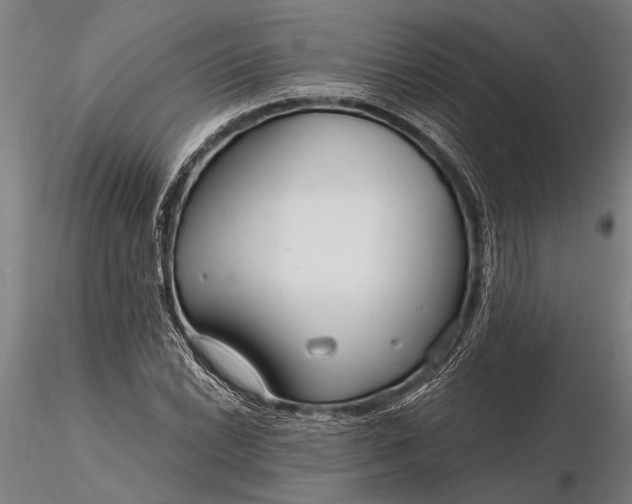 X0000116161022200912141216