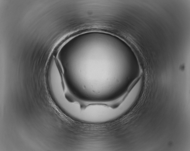X0000116161024200912141216