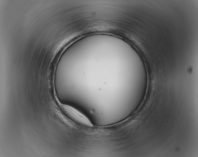 X0000116161026200912141216