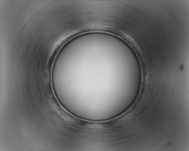 X0000116161027200912141216