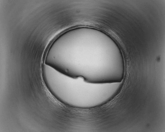 X0000116161028200912141216