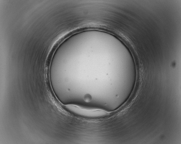 X0000116161029200912141216