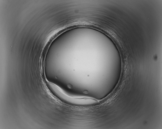 X0000116161030200912141216