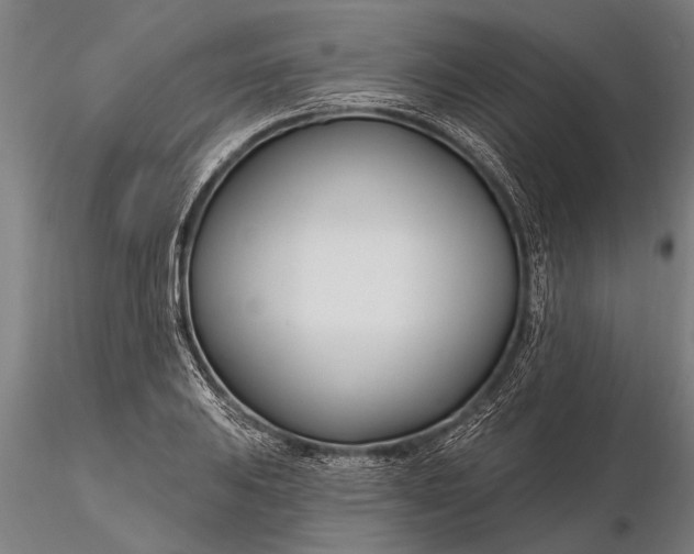 X0000116161031200912141216