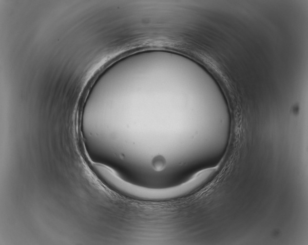 X0000116161032200912141216