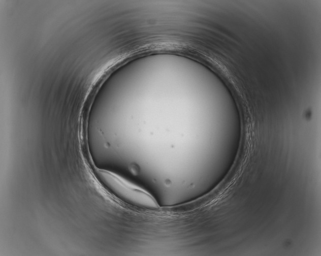 X0000116161034200912141216