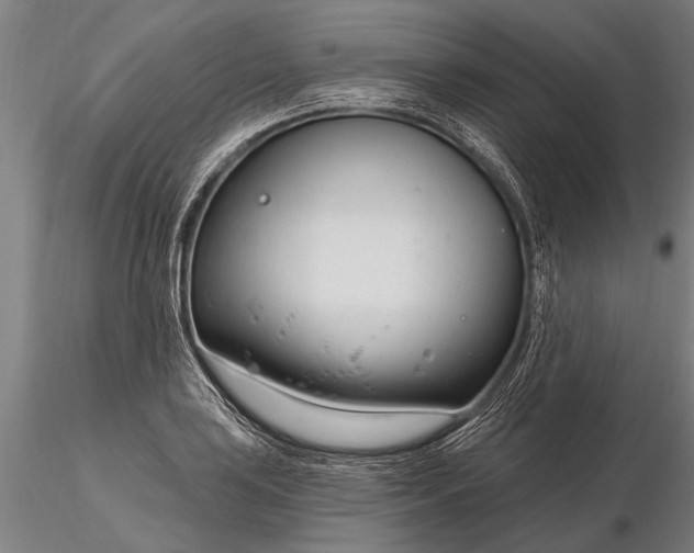 X0000116161035200912141216