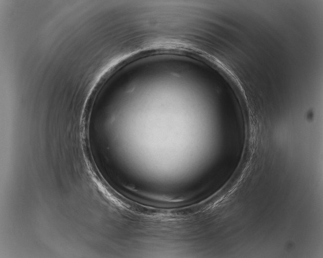 X0000116161037200912141216