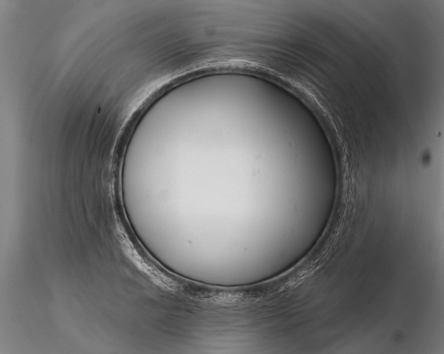 X0000116161038200912141216