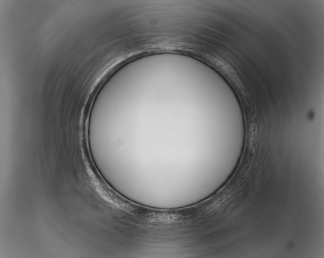 X0000116161039200912141216