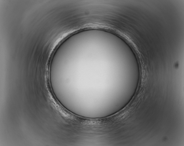 X0000116161040200912141216