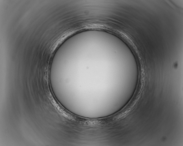 X0000116161041200912141216