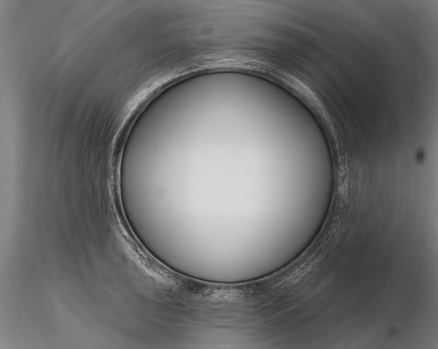 X0000116161043200912141216