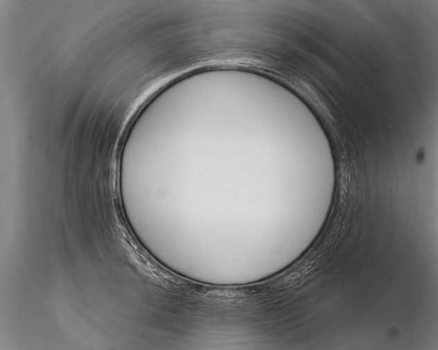 X0000116161044200912141216