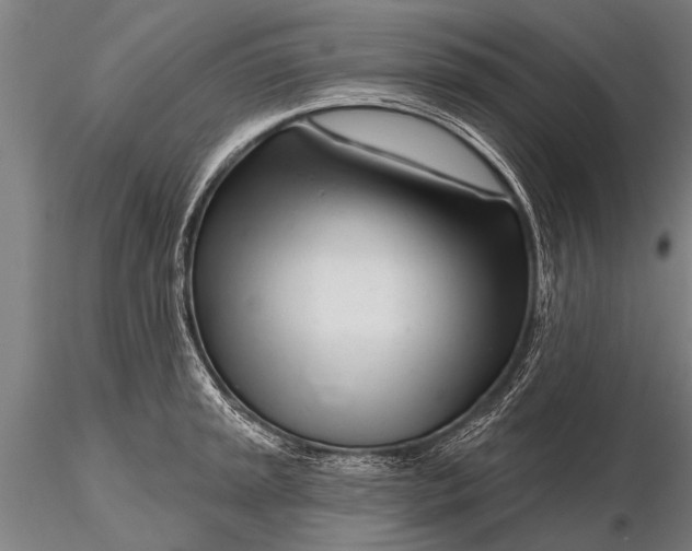 X0000116161045200912141216