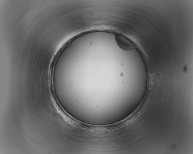 X0000116161046200912141216