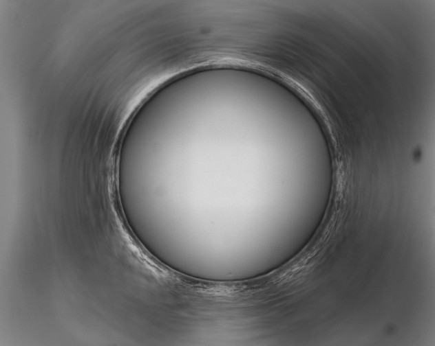X0000116161048200912141216