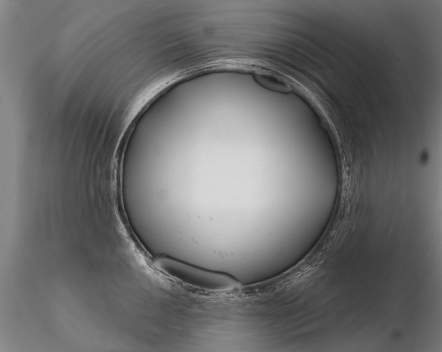 X0000116161050200912141216