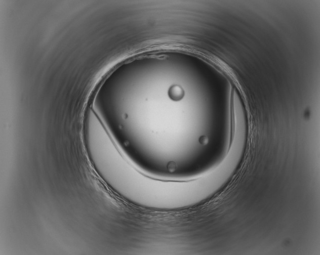 X0000116161051200912141216