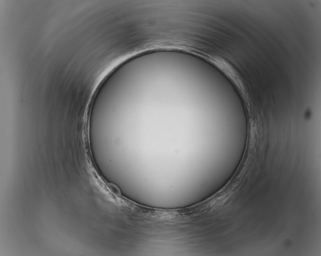 X0000116161052200912141216