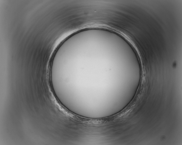 X0000116161053200912141216