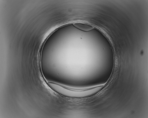 X0000116161054200912141216