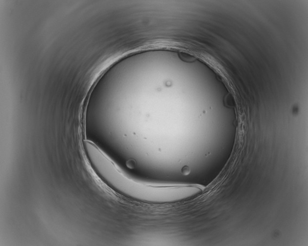 X0000116161055200912141216