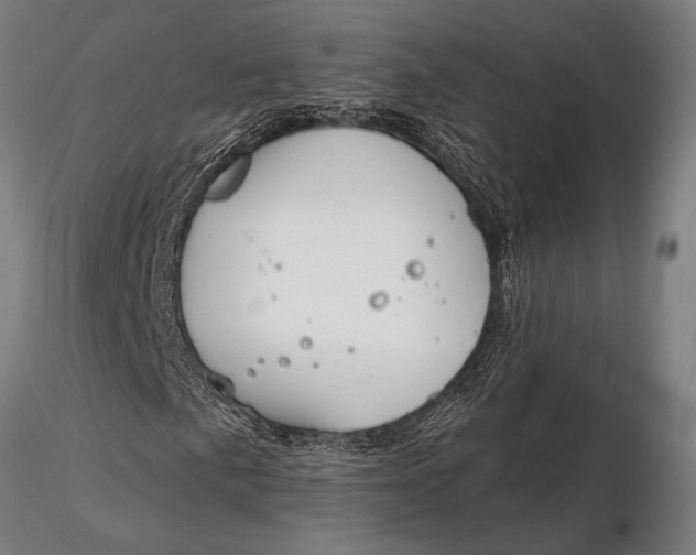 X0000116161057200912141215