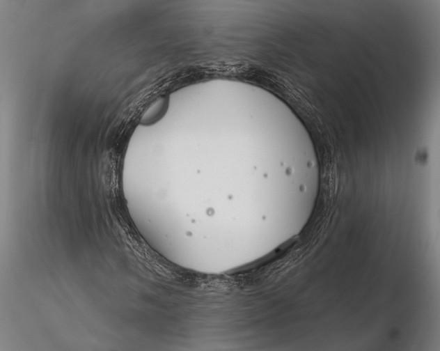 X0000116161058200912141215