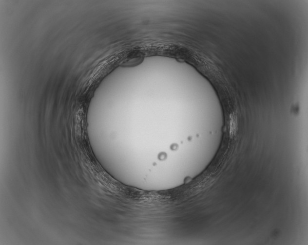 X0000116161059200912141215