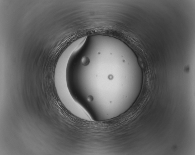 X0000116161060200912141215