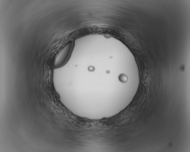 X0000116161061200912141215