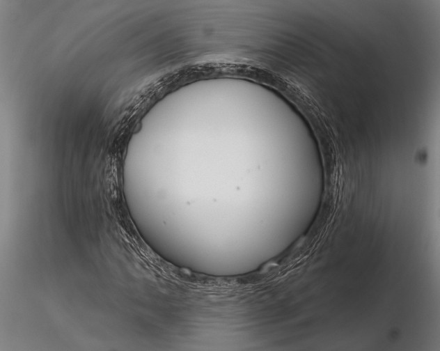 X0000116161062200912141215