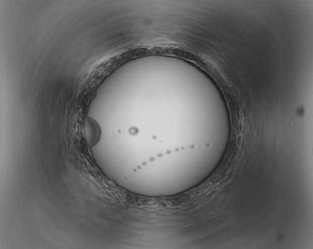 X0000116161063200912141215