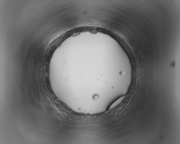 X0000116161064200912141215