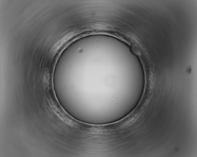X0000116161065200912141215