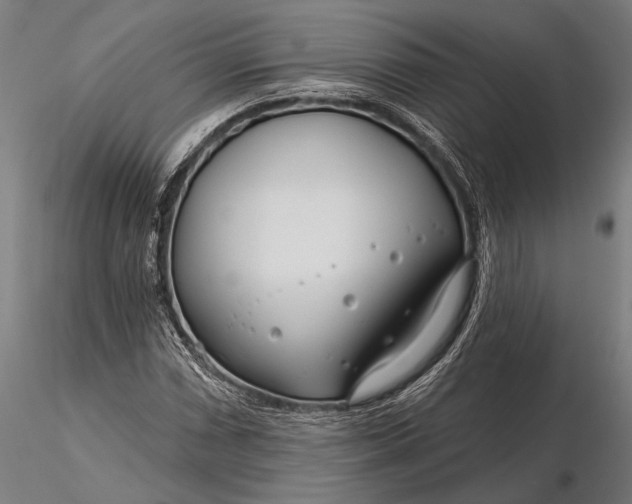 X0000116161066200912141215