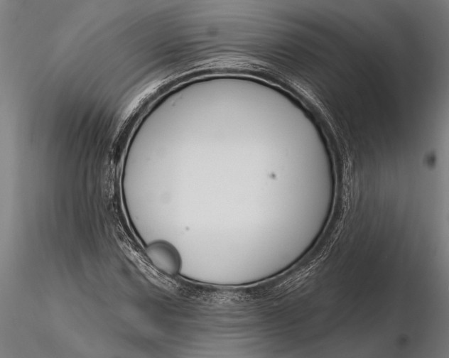 X0000116161067200912141215