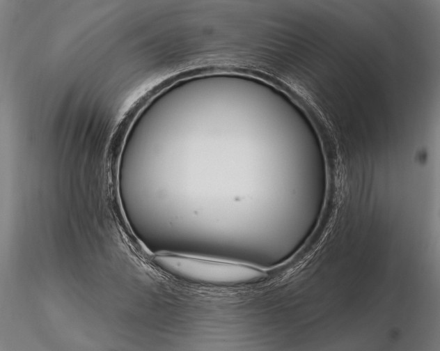X0000116161070200912141215