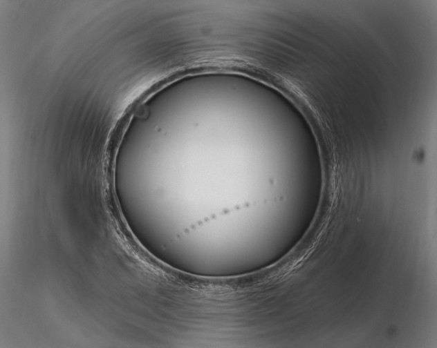 X0000116161071200912141215
