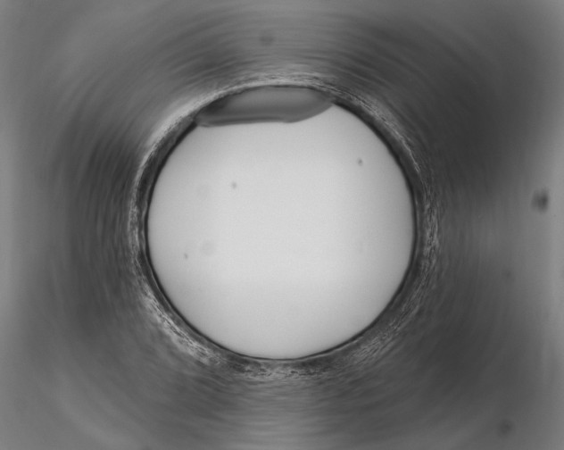 X0000116161072200912141215