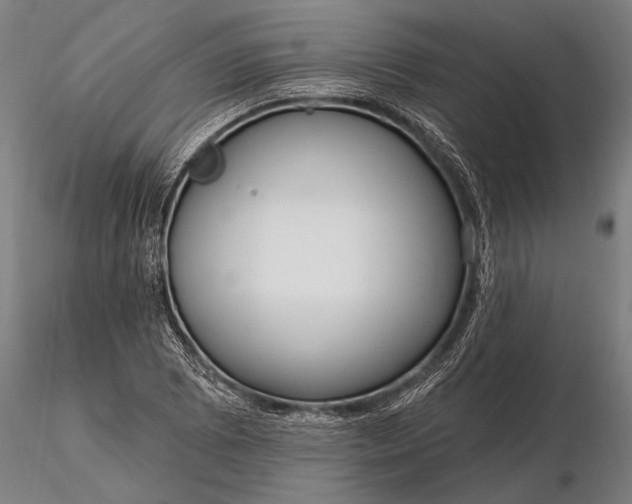 X0000116161073200912141215