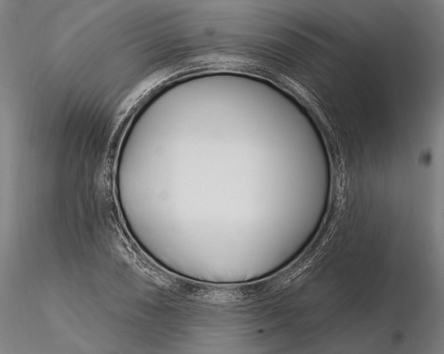 X0000116161074200912141215