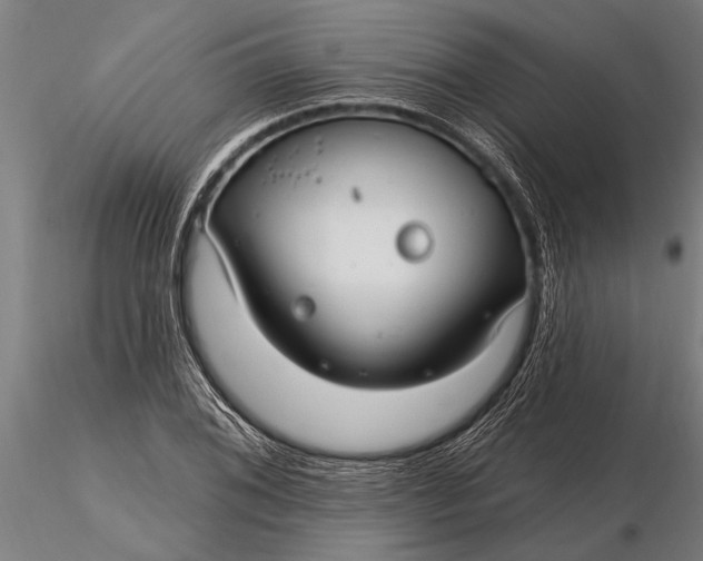 X0000116161076200912141215
