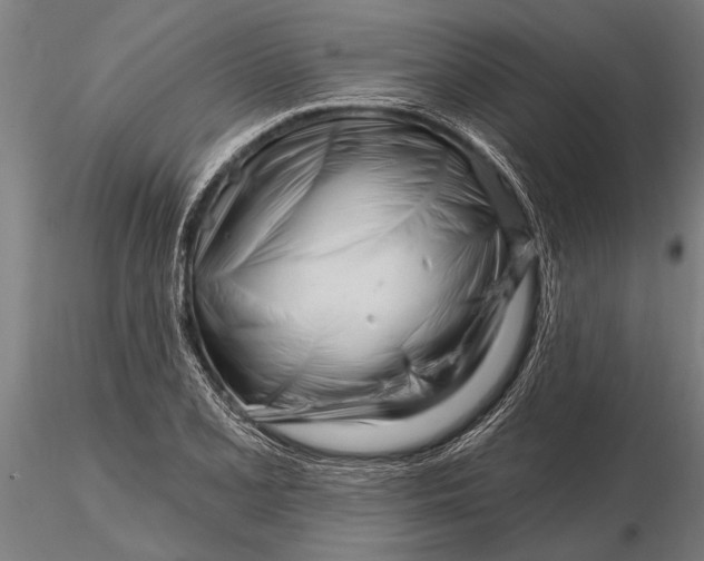 X0000116161077200912141215