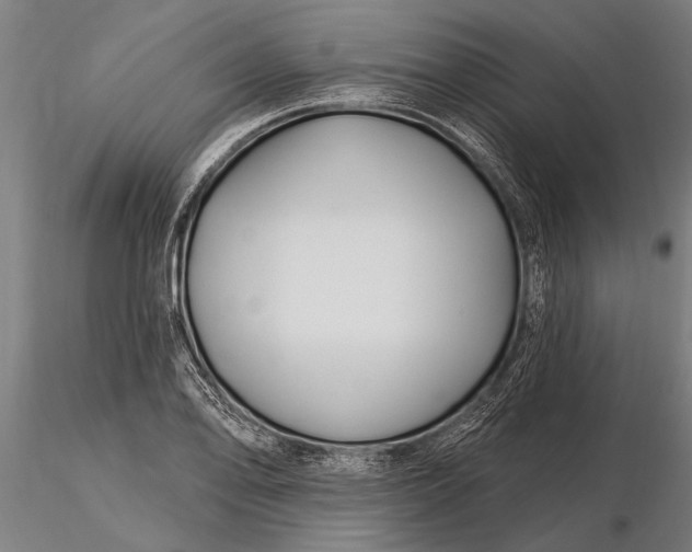 X0000116161078200912141215