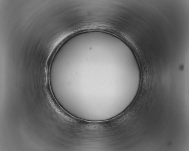 X0000116161079200912141215