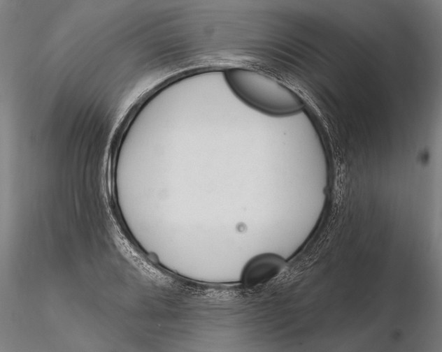 X0000116161080200912141215